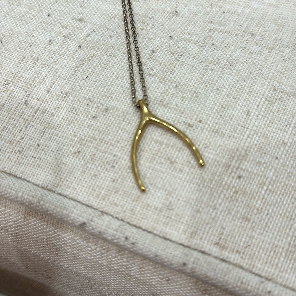 Wishbone necklace